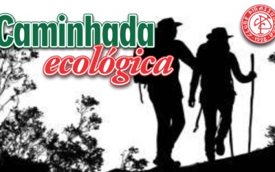 Caminhada Ecológica